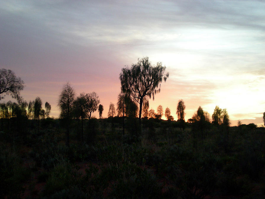 Uluru Sunset