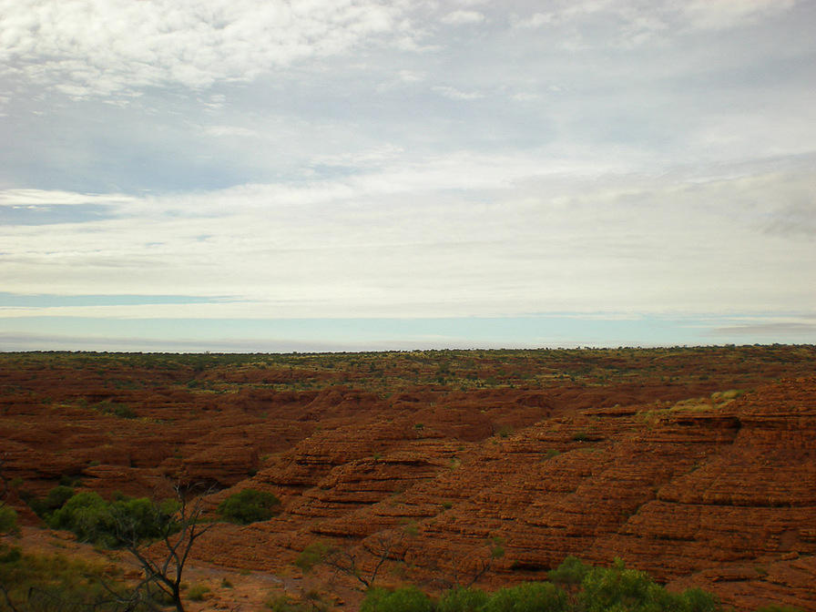 DSCN1933