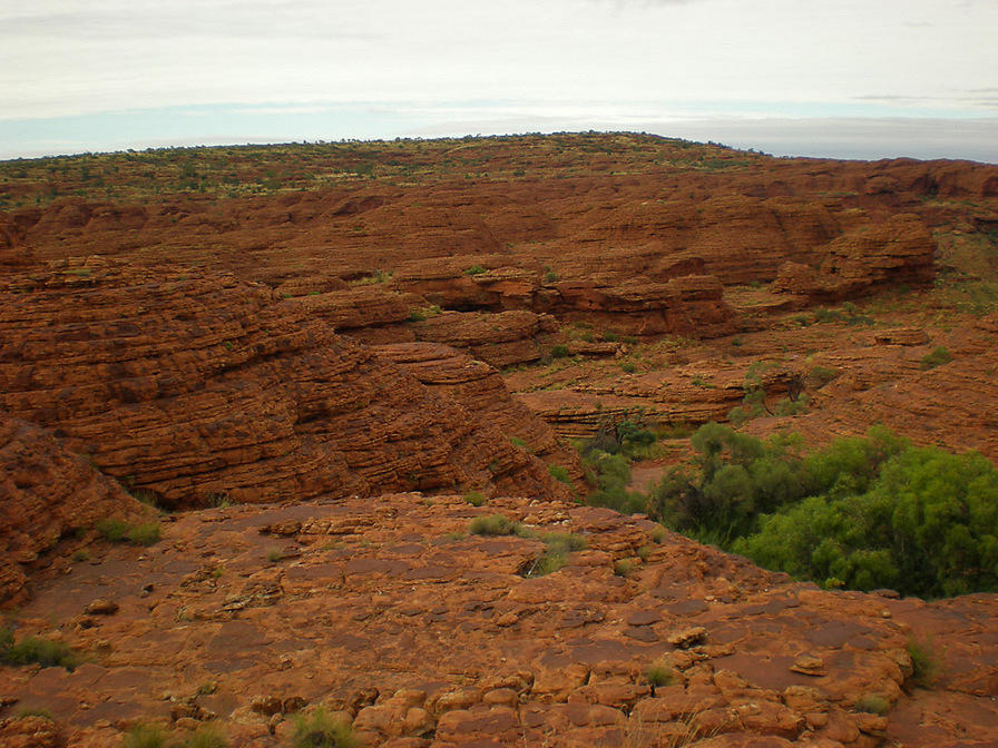 DSCN1935
