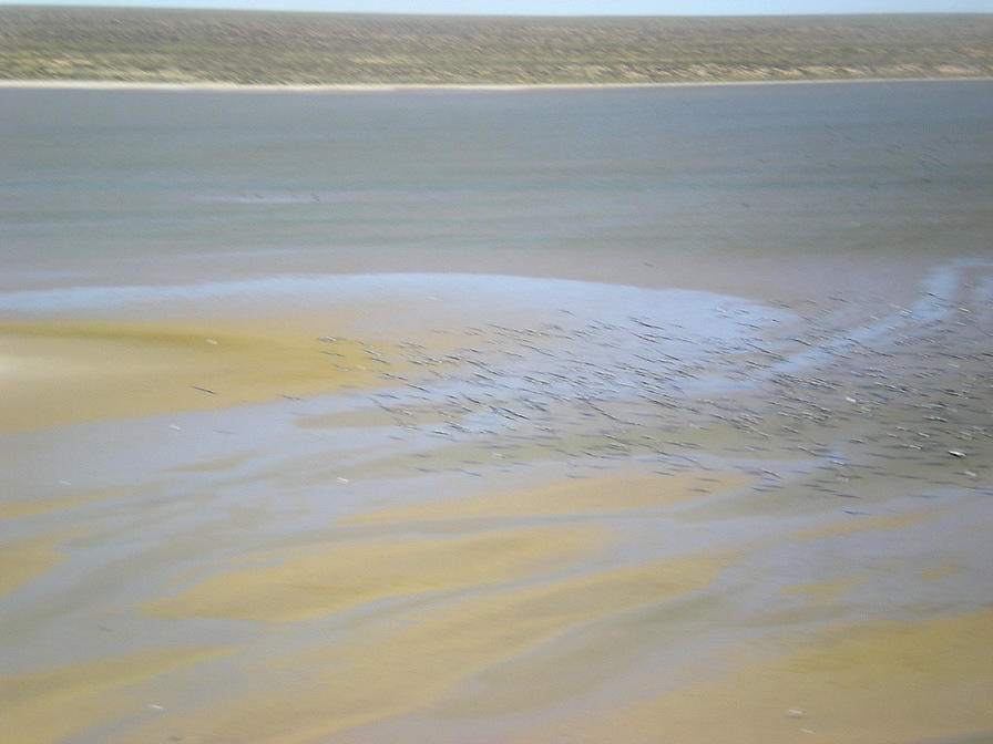 Lake Eyre