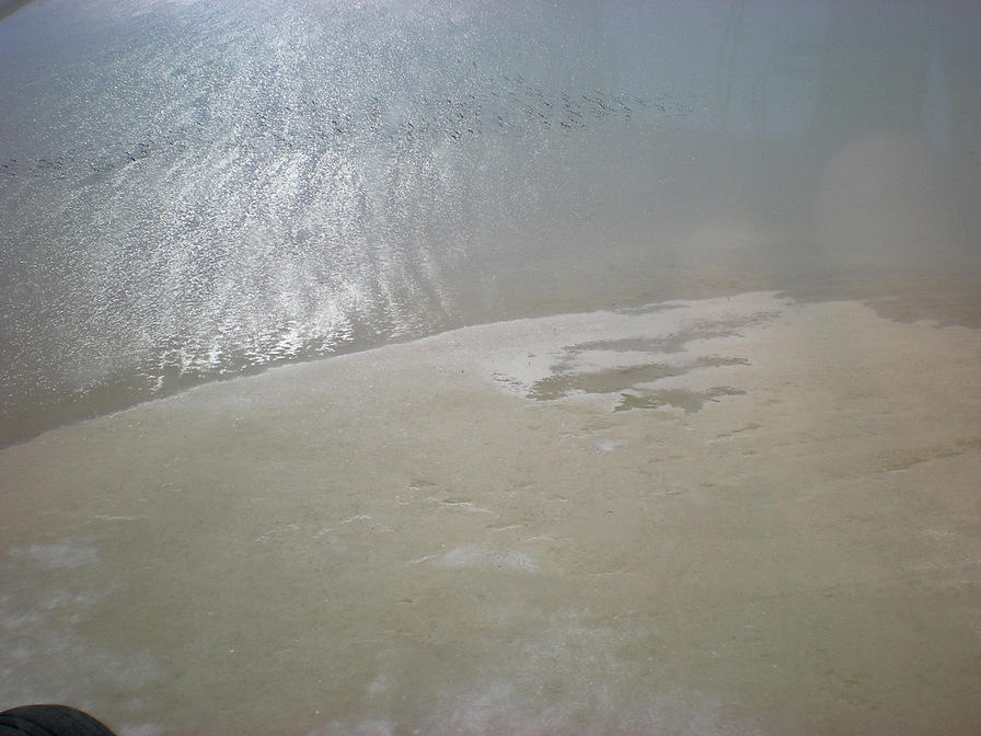 DSCN2079