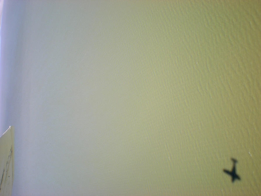 DSCN2080