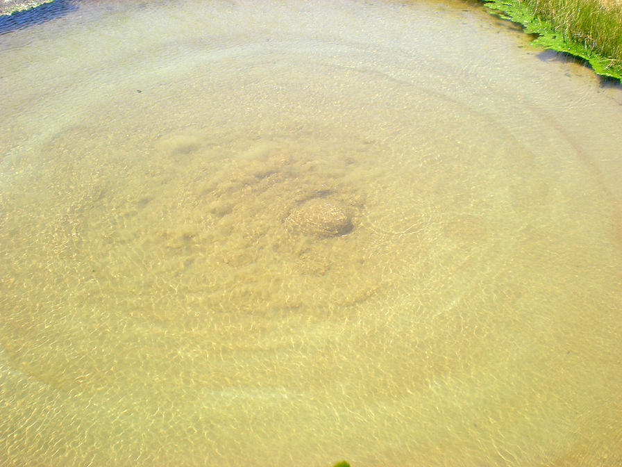 The Bubbler - Mound Springs