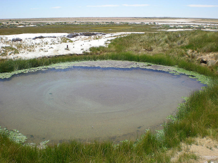 Mound Springs