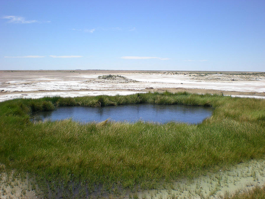 Mound Springs