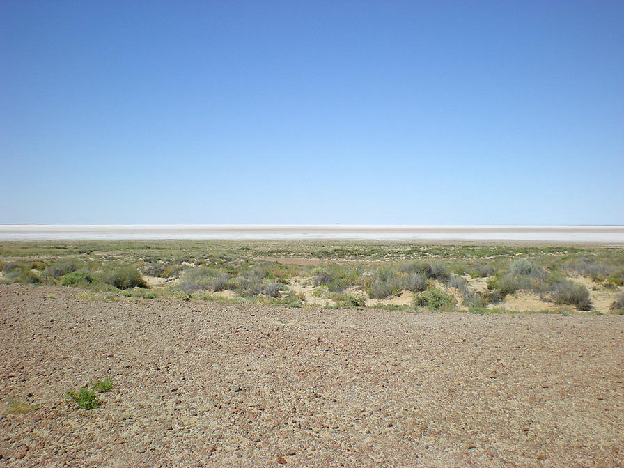 DSCN2152