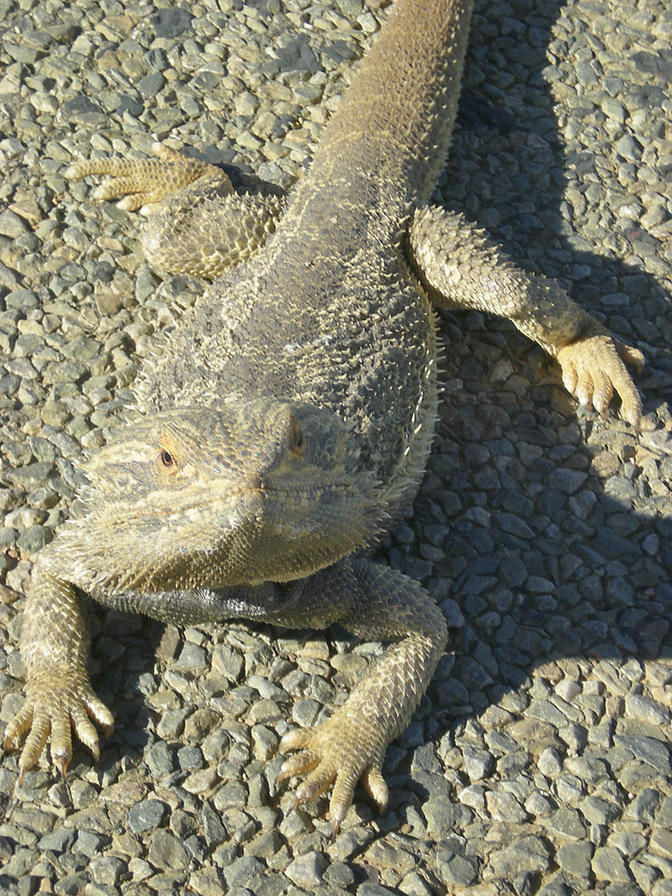 DSCN2179