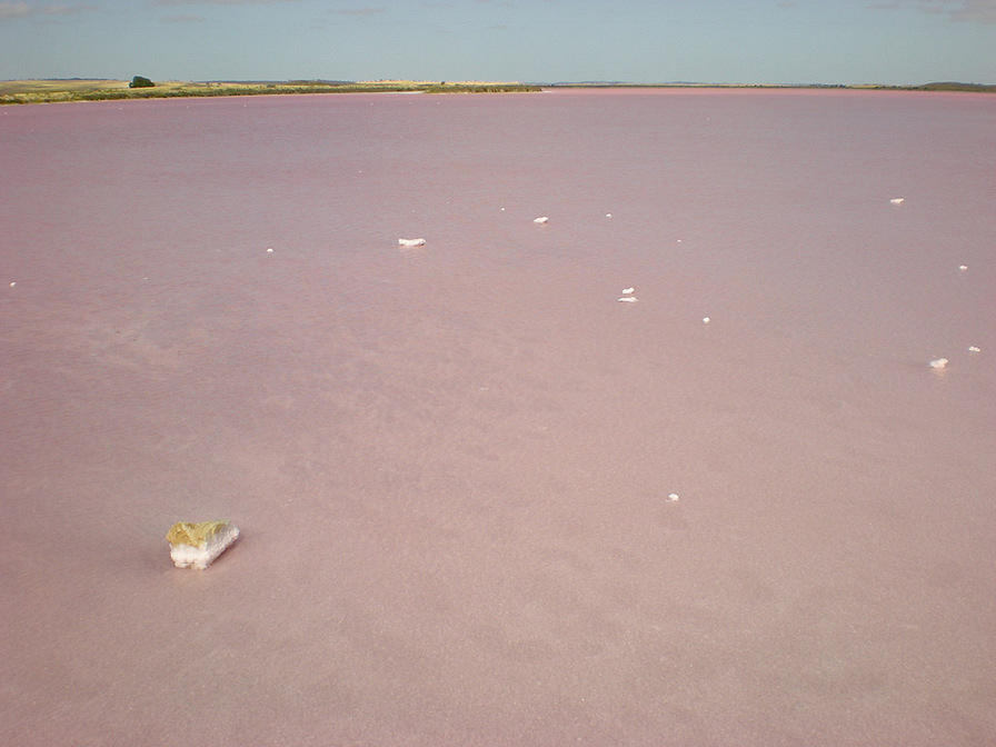 Lake Albert