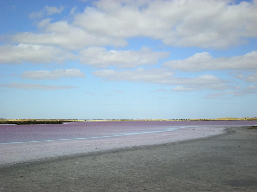 Lake Albert