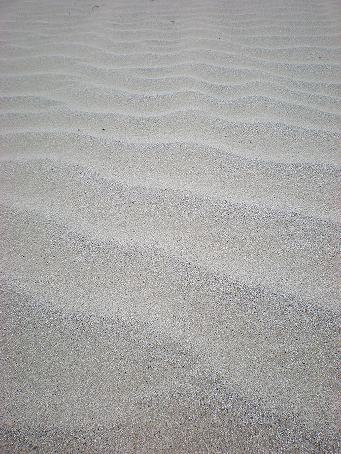 DSCN2221