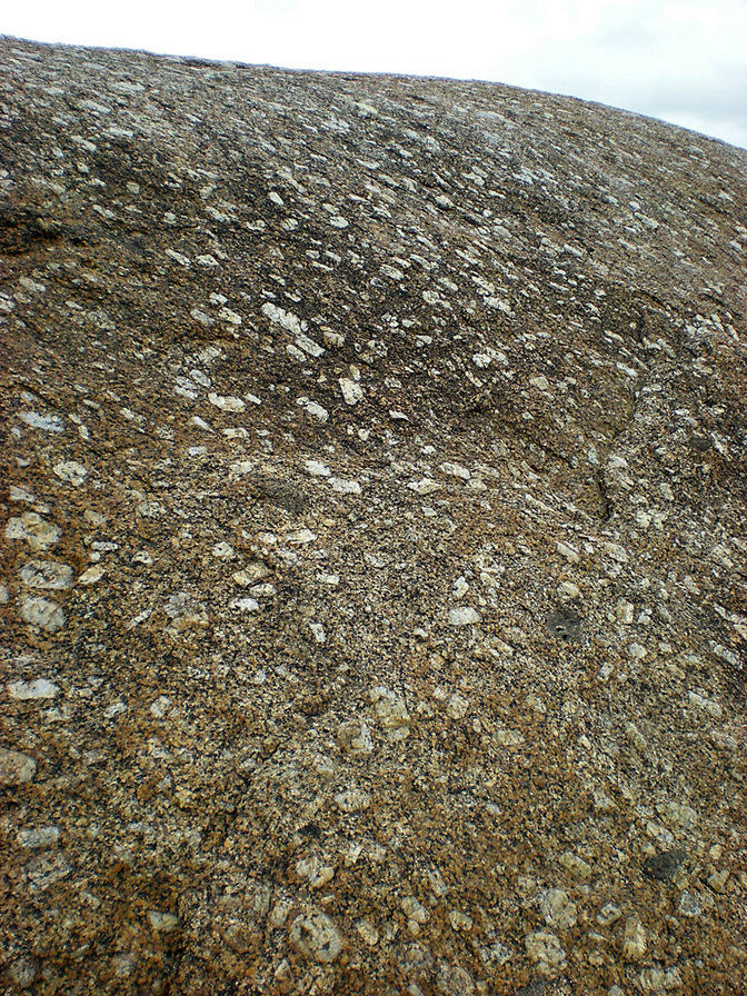 DSCN2227
