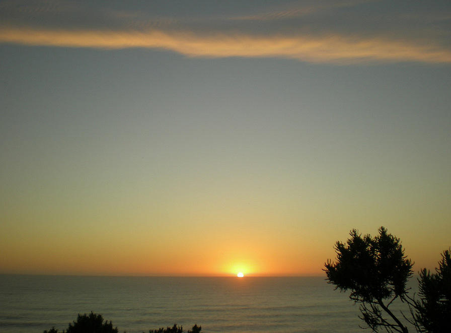 DSCN2285