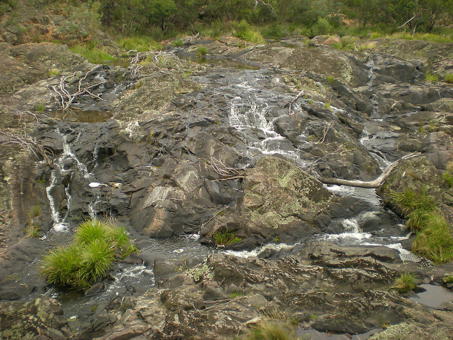 DSCN2375