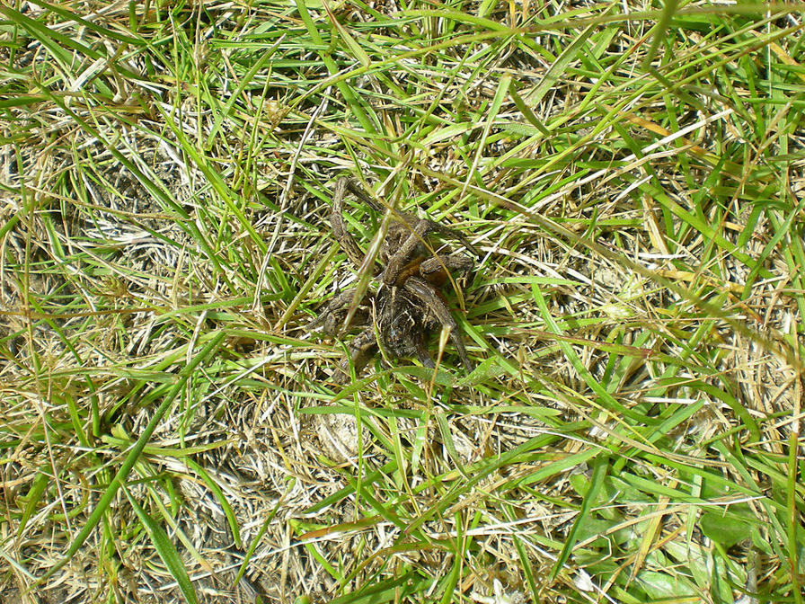 DSCN2407