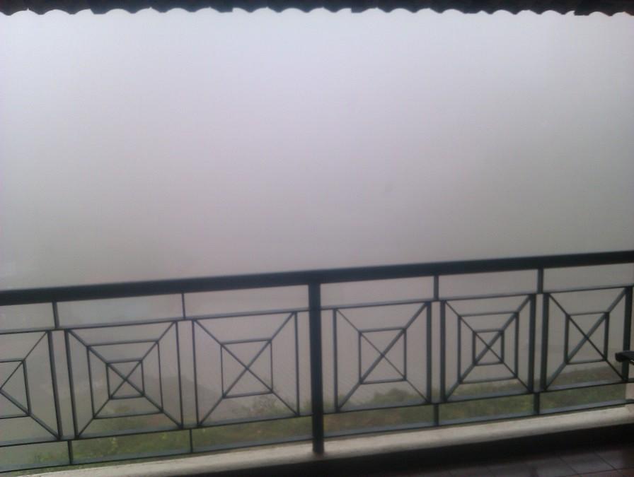 Pea Soup - Not good for riding