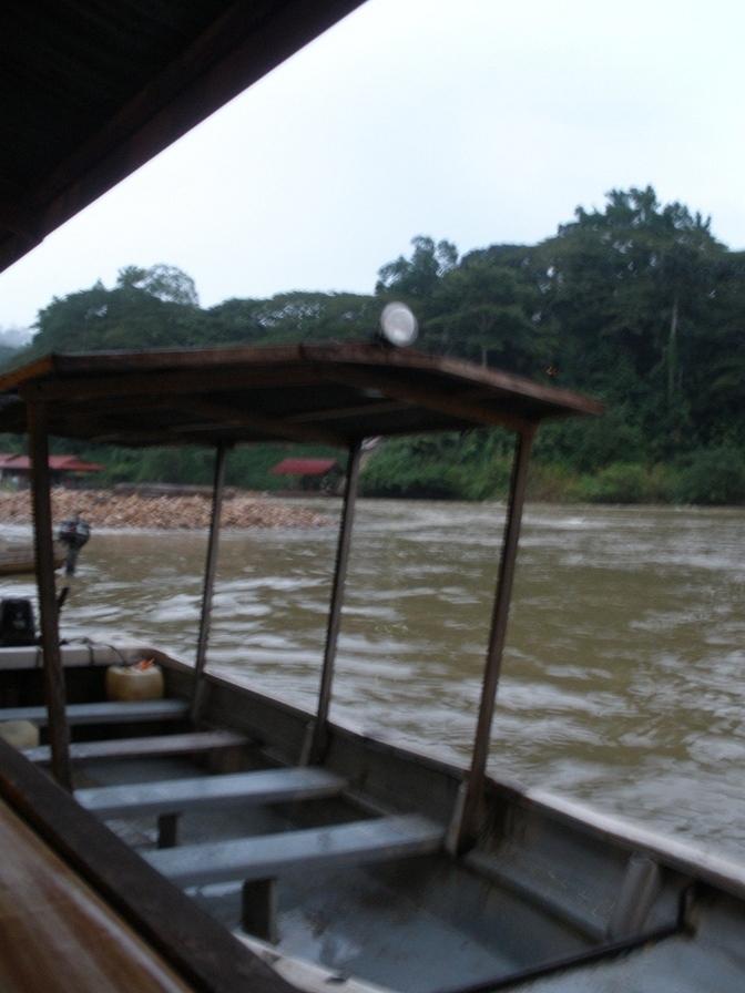Taman Negara