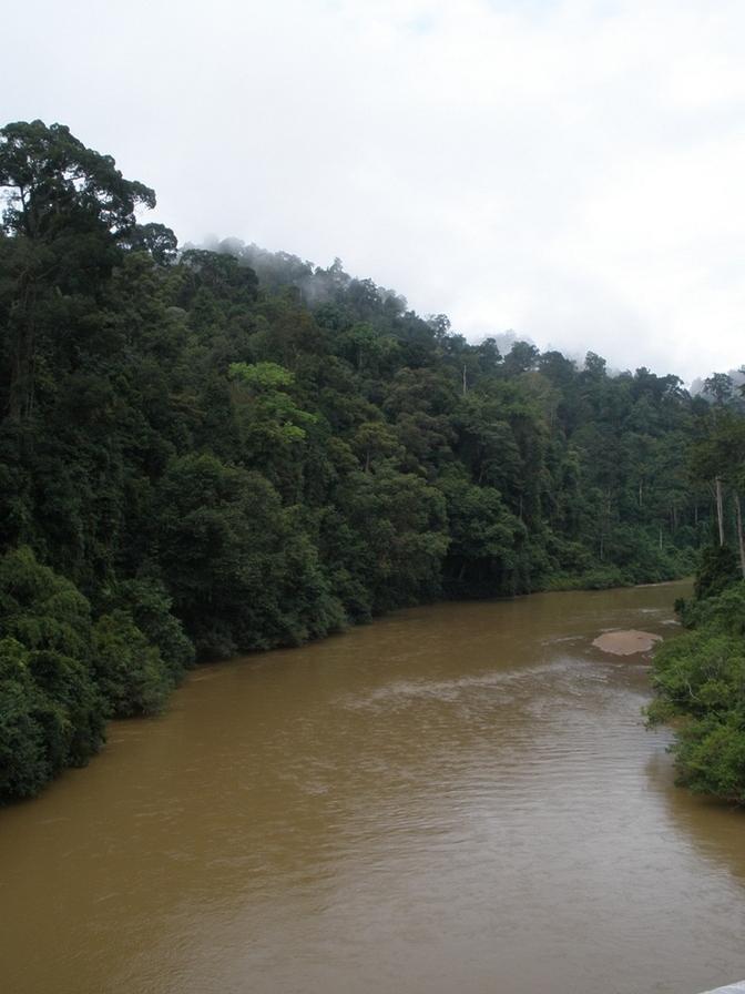Taman Negara