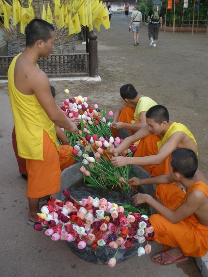 P1240045