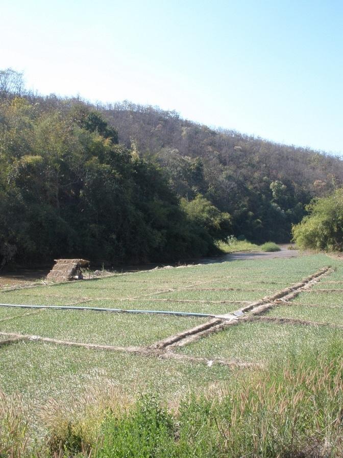 P1250051