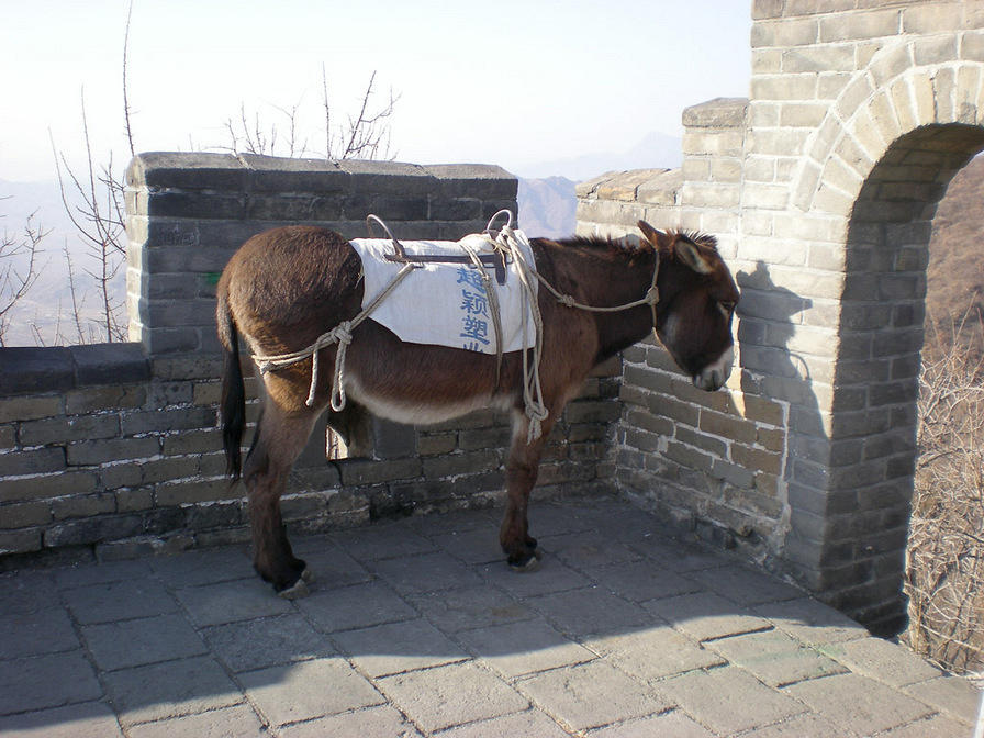 DSCN0404.JPG