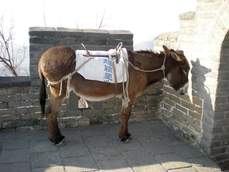 DSCN0405.JPG