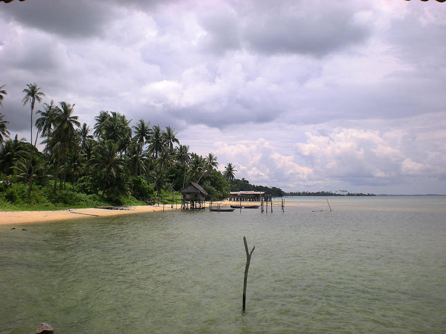 DSCN0277