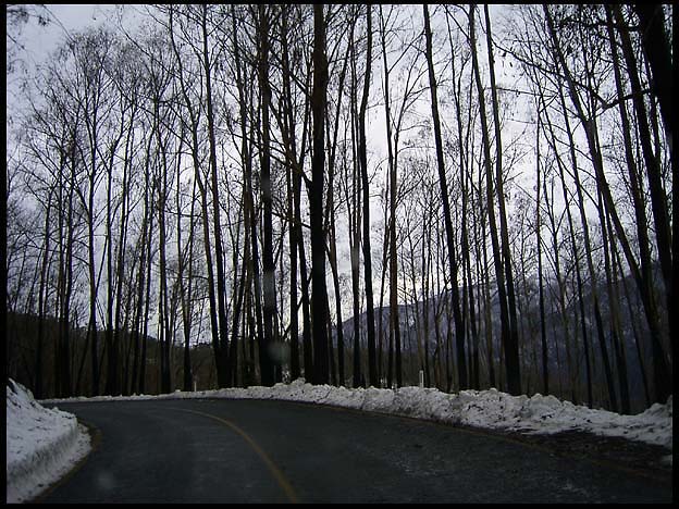 RIMG0127.jpg