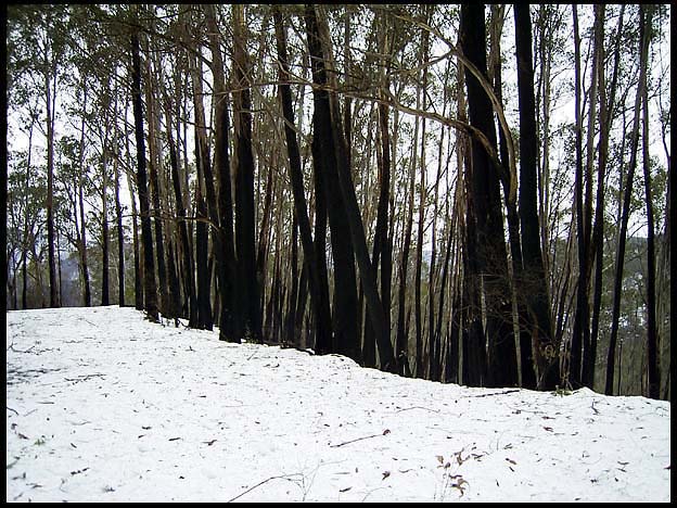 RIMG0128.jpg