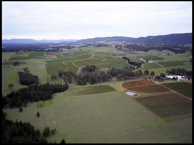 RIMG0235_161004.jpg