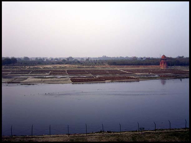 20040201_RIMG0332