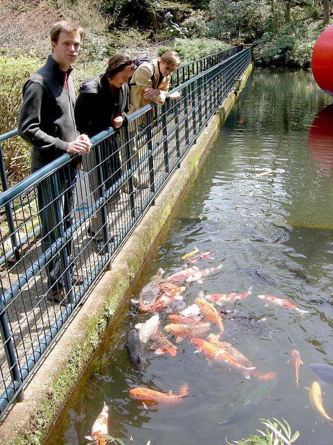 Fish feeding