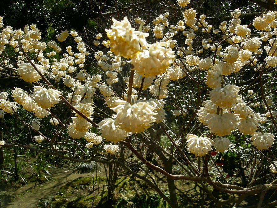 DSCN0619