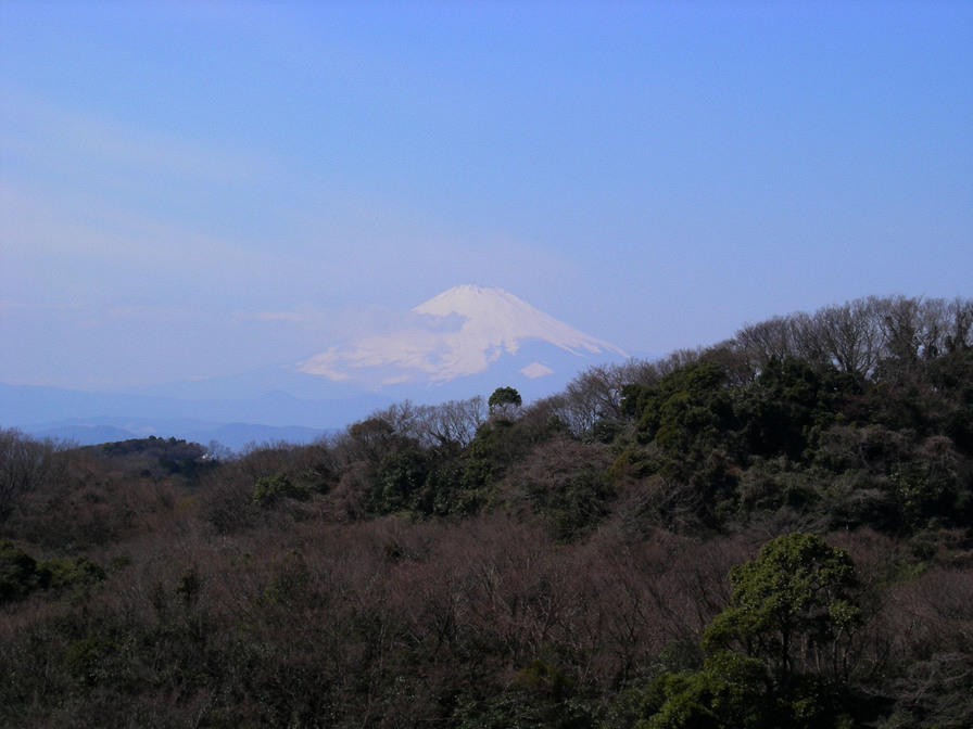 Mt Fuji-san