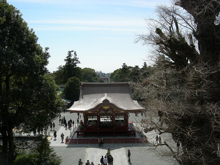 DSCN0645