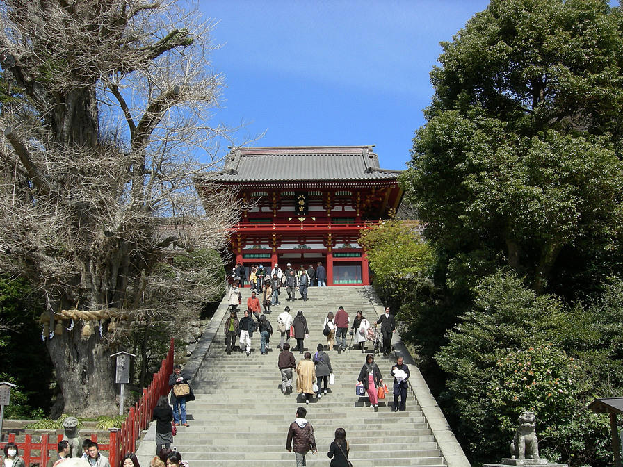 DSCN0649
