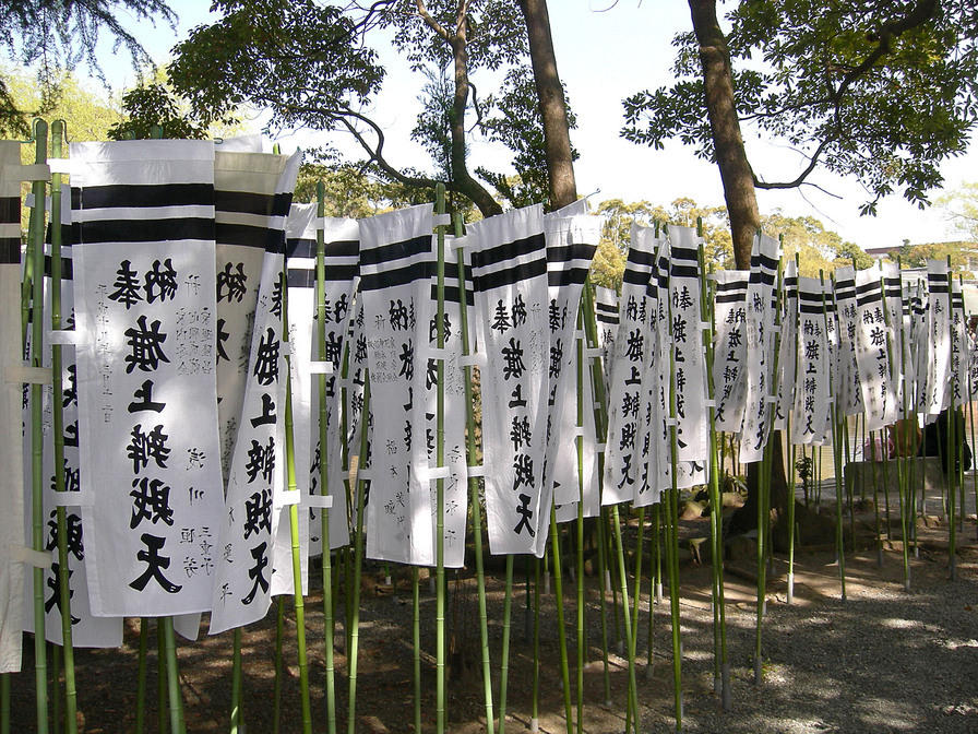 DSCN0651