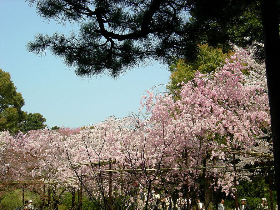 DSCN0862