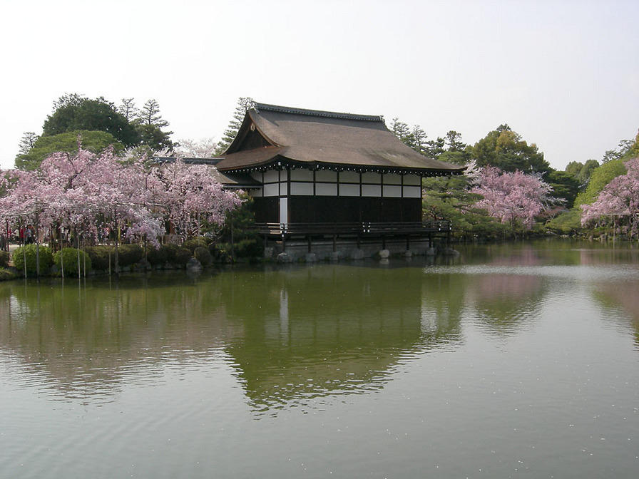 DSCN0871