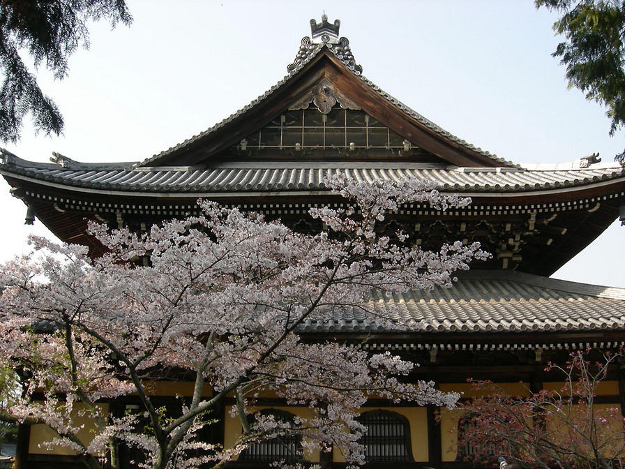 DSCN0875