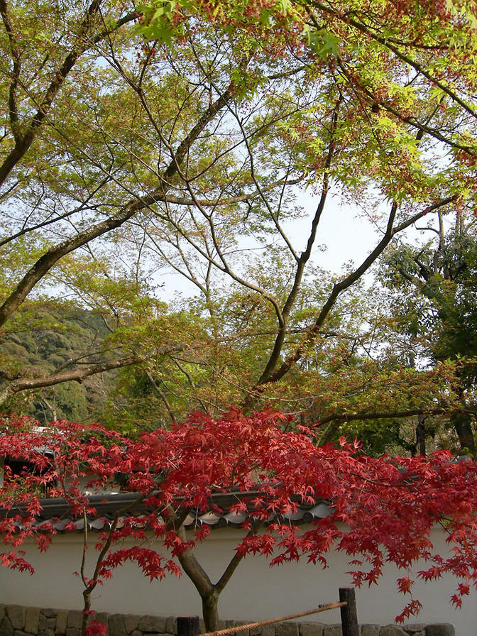 DSCN0883
