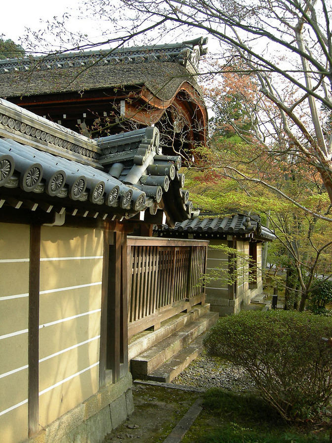 DSCN0890