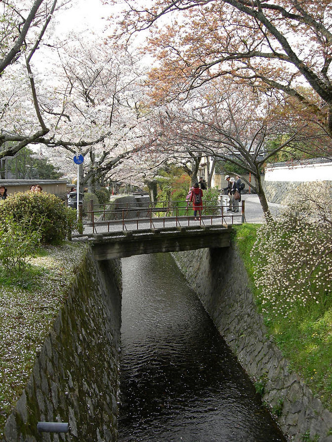 DSCN0892