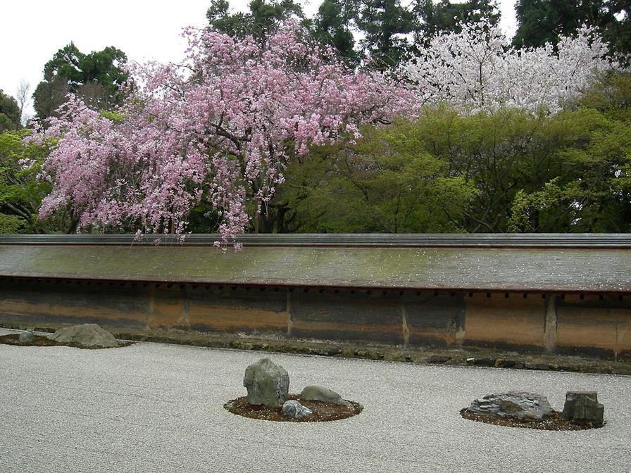 DSCN0928