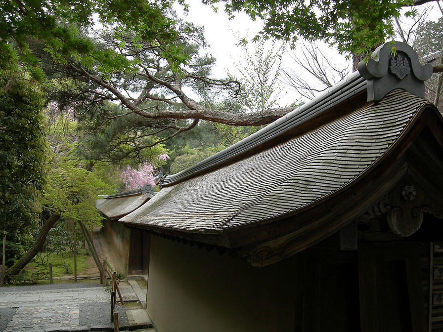 DSCN0929