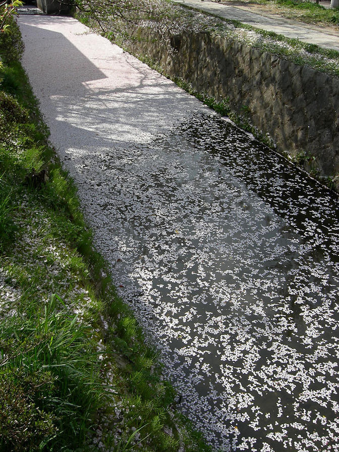 DSCN0934