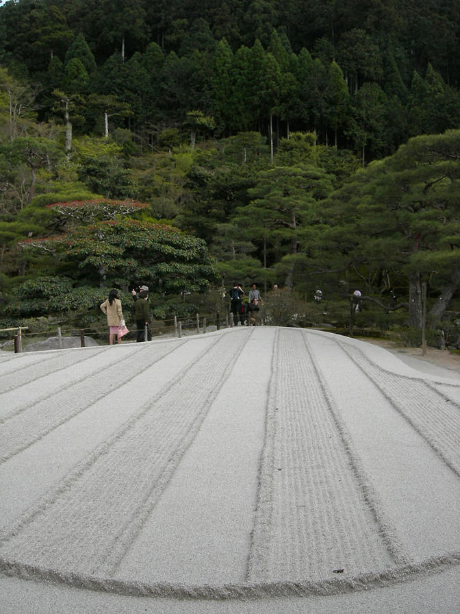 DSCN0939
