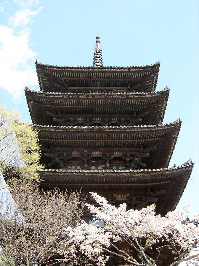 DSCN0989