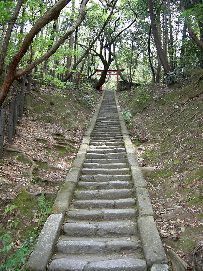DSCN1033