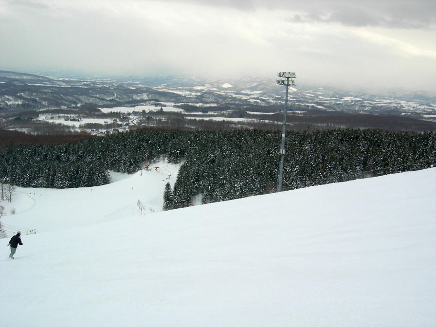 Wide runs & pine trees