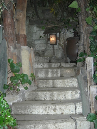 DSCN0203.jpg